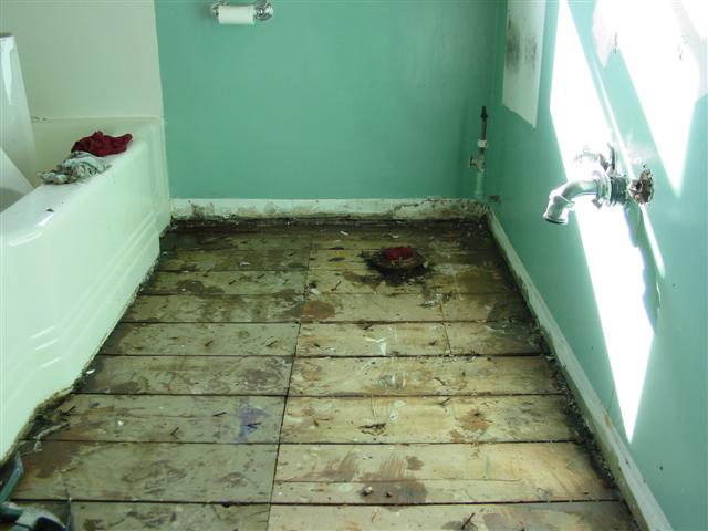 feb-2008-bathroom-010-small.jpg