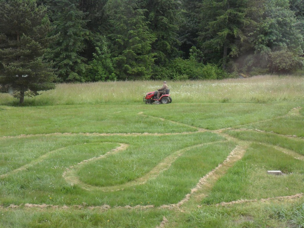 One of our wonderful neighbors offered us the housewarming gift of mowing our back lawn!  SO NICE.  It is not just as overgrown again, but no maze.  That grass grows fast!  That's why we're wondering how hard it is to tether a goat or sheep or something grass-eating.  :-)  We have a mower coming.... in four more weeks.  Ah!