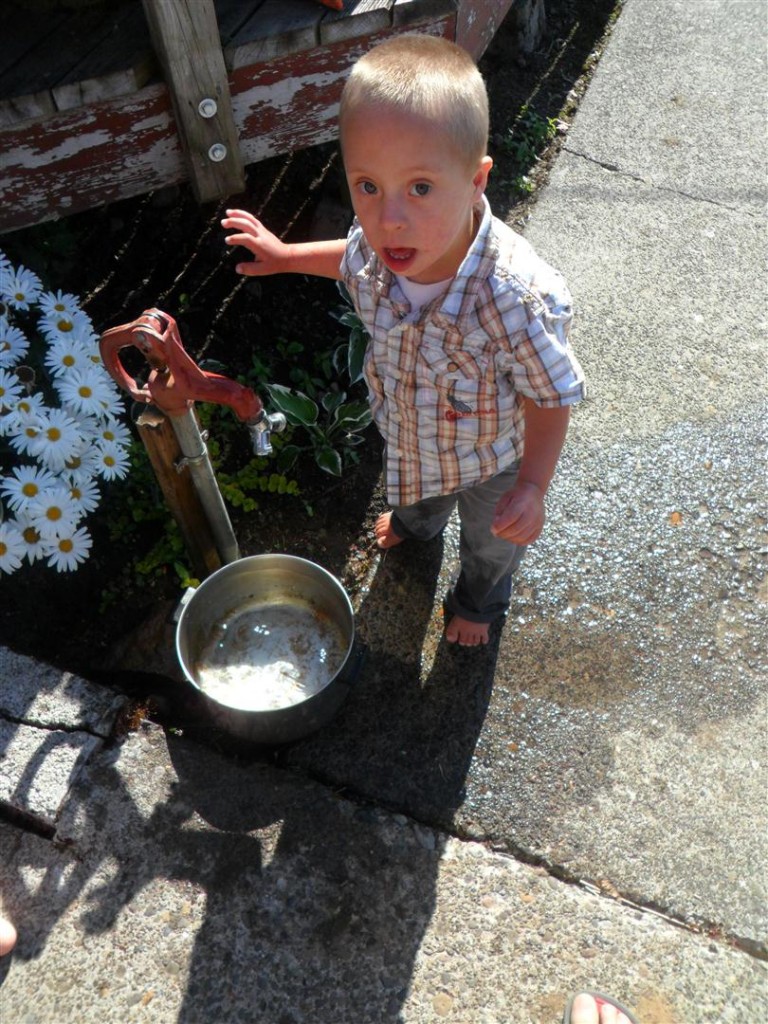 Big clean dog's water is fun!