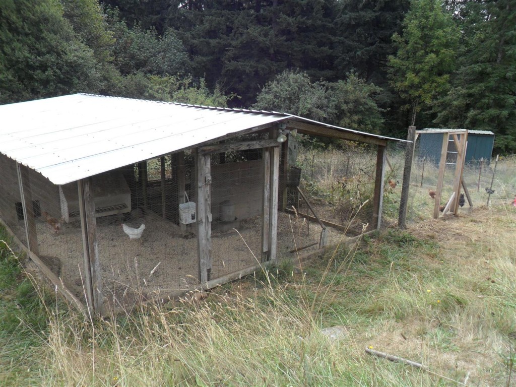 Approaching our coop - you can see the new chicken run that Brian built!
