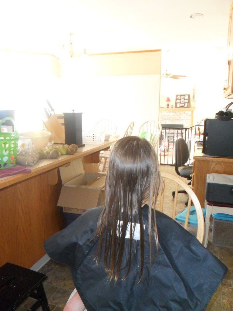 Did I share these already?  My beautiful, long-haired girl wanted a hair cut like her best friend... so I was brave and gave her bangs and shorter hair.  She is adorable both ways!