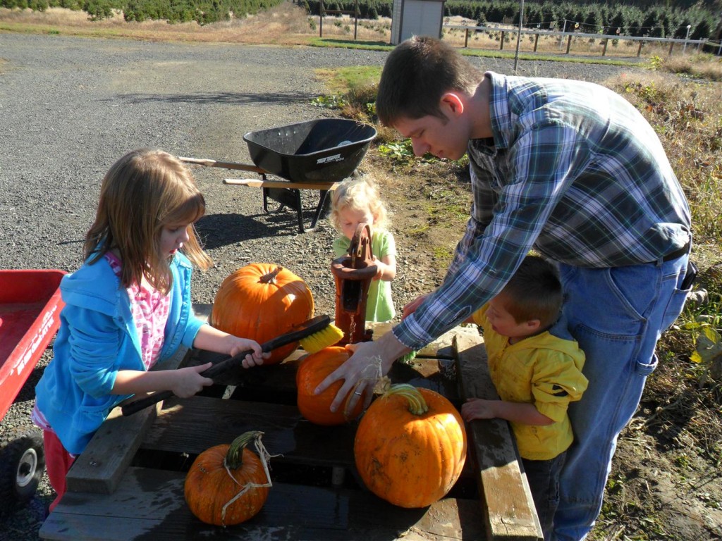 Using the neat old-fashioned hand pumps to wash the pumpkins.