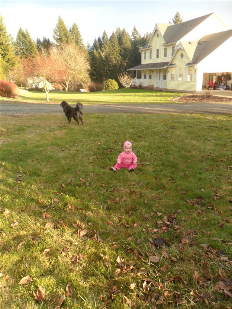 She fell down.  And stayed there for fifteen minutes before I picked her up and brought her inside out of the cold.