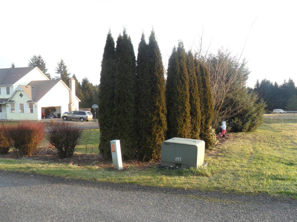 What to do with this particular sodden corner of the property?