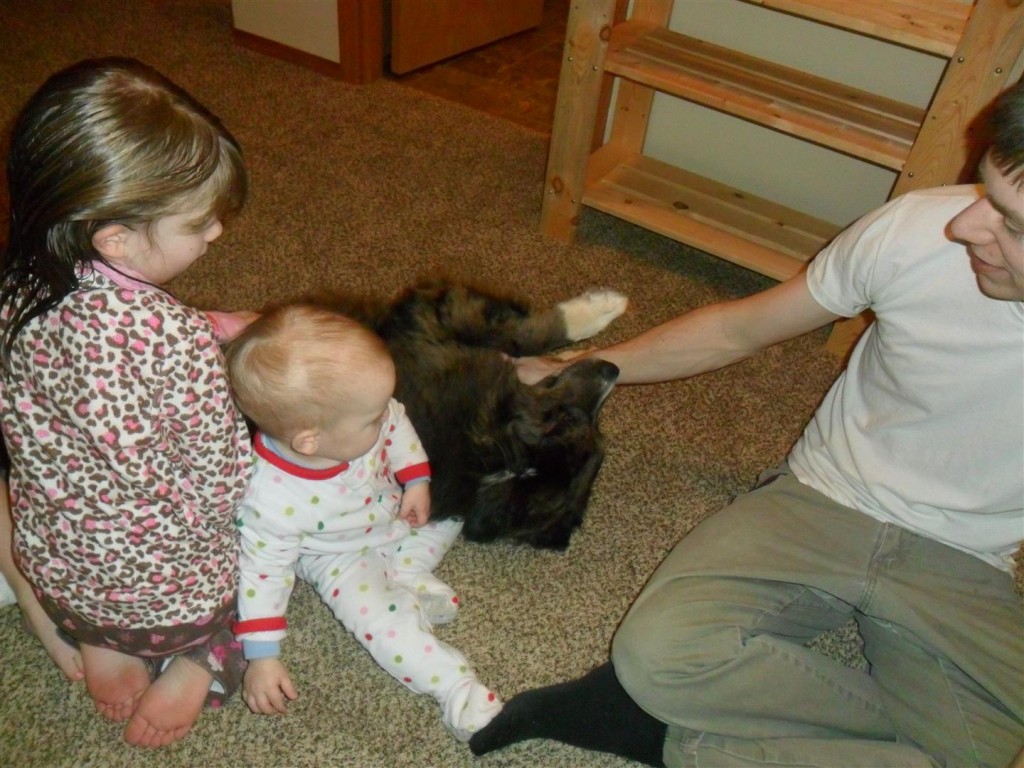 Smoke getting some lovin' in our upstairs hallway