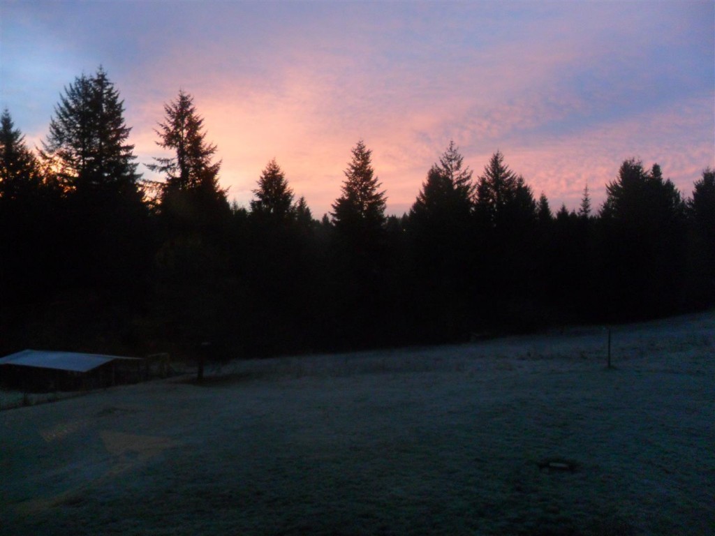 A beautiful frosty sunrise a few days ago.