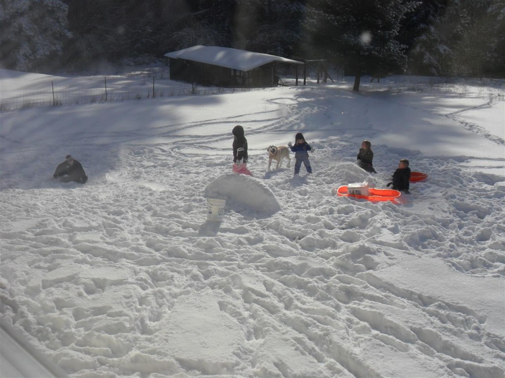 Building snow forts and sledding!