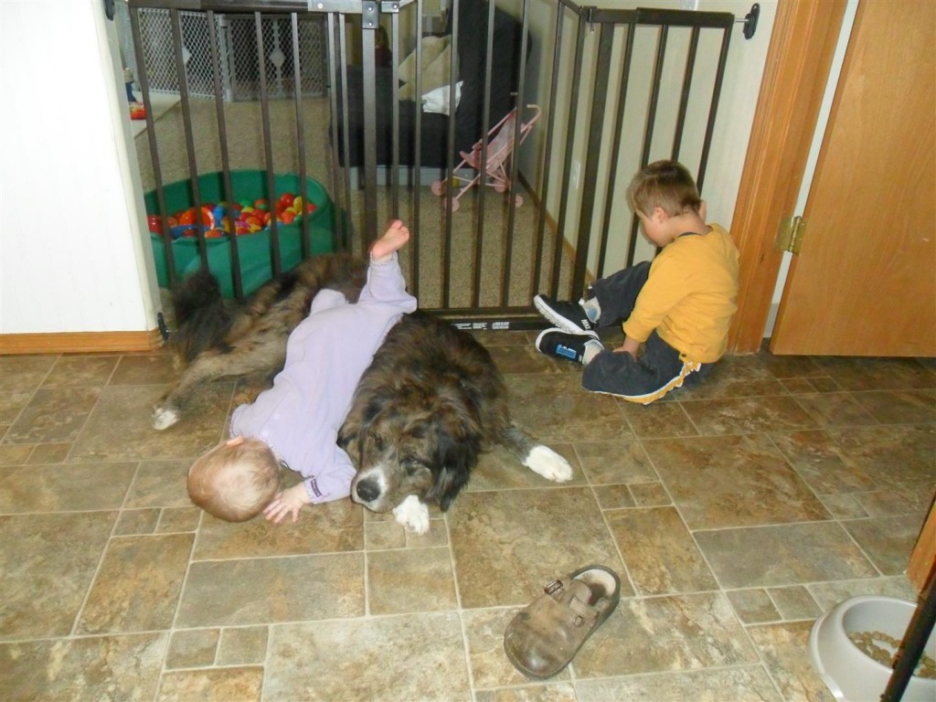 Carolyn was laying on Smoke for a good minute til I took out my camera.  Then she started crawling off him and Smoke stood up.  