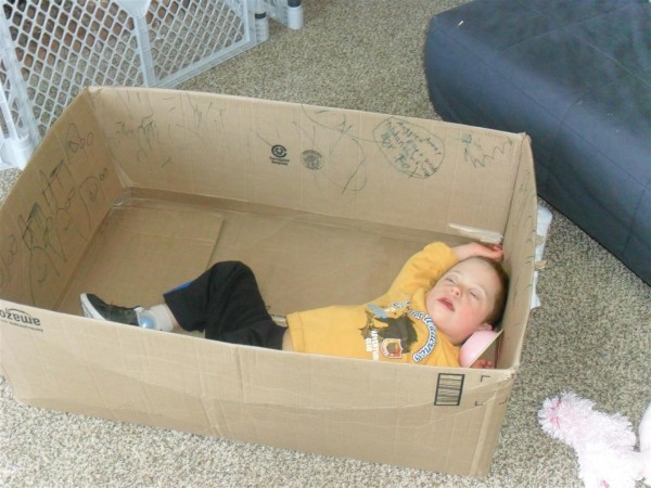 Jordan asleep in a box.