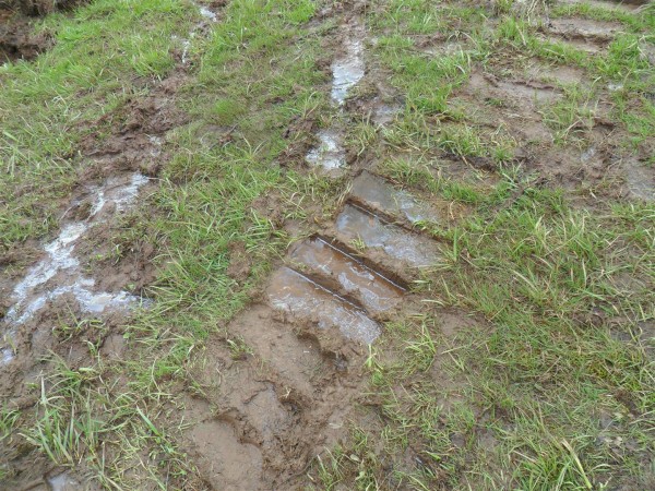 Many parts of our property are really, really wet.  We had to make ourselves a path of some concrete edgers we had handy just so we could run a wheelbarrow across the ground. When we move the bricks again, this is what it looks like.  