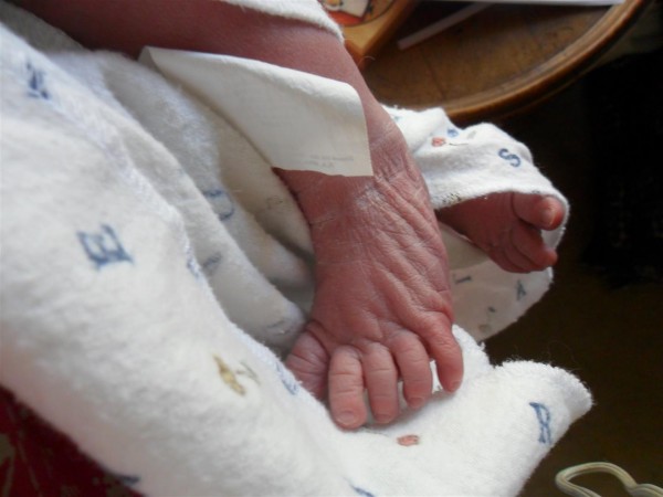 Look at those skinny newborn feet!  I bet they are already plump!