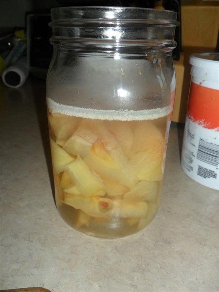 Homemade apple cider vinegar in the making.