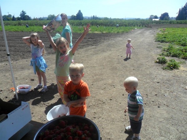Strawberry picking!