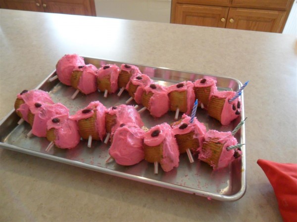 These are.... err... caterpillar cupcakes.  