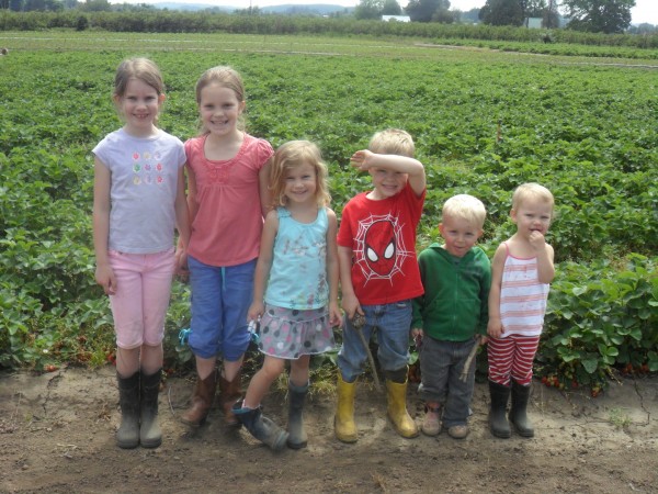 Strawberry picking at our old digs with good friends!