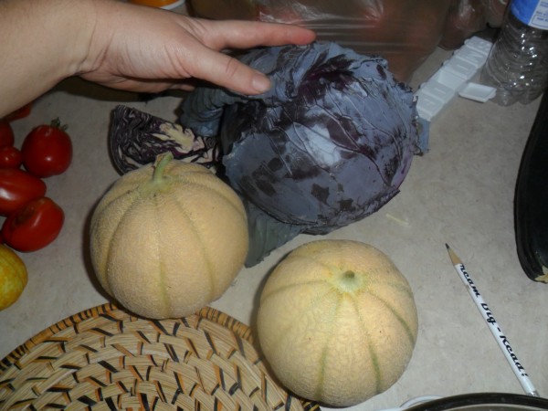 Cabbage and melons
