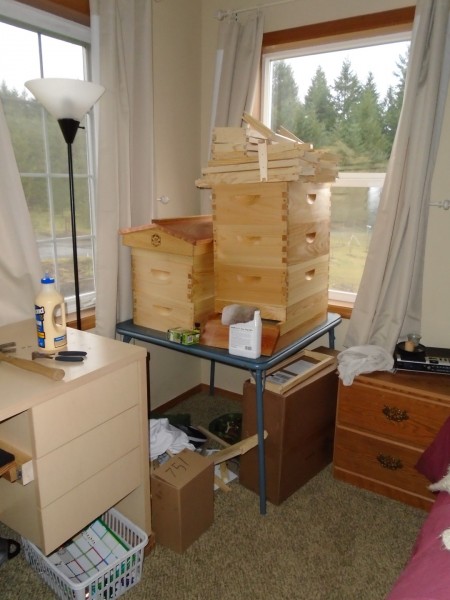 Bee hives coming together!
