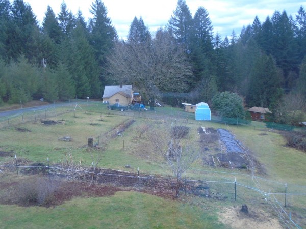 The fallow garden and the neighbor's house from my bathroom window.