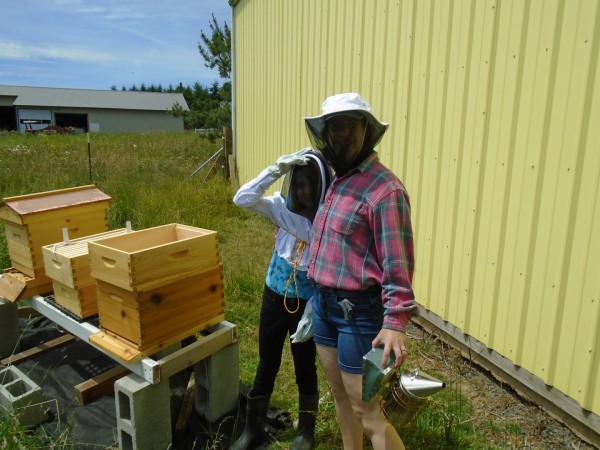 Anna was AWESOME and came for the bee hive inspection!
