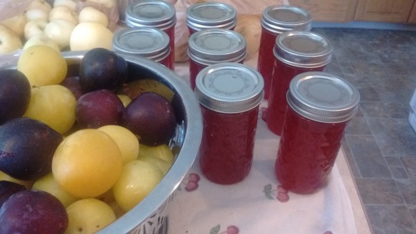 The plum jam is this color, because of the color of the plums!