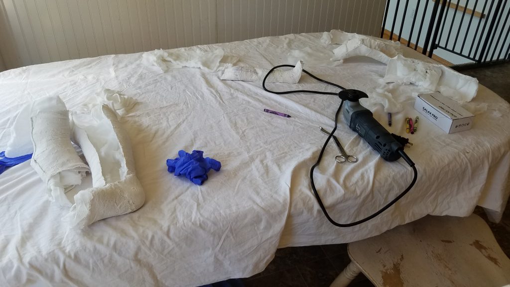 Homemade Plaster Casts Practice Round The Davis Family