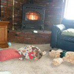 To Grandma's! Sweet overwhelmed Jordan put himself to sleep in front of the fire. Best spot in the house! (second to Mama's arms)