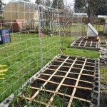The 5' trellises. These will primarily hold tomatoes. The other squares will have lettuce, spinach, chard, onions, bok choy... ummm... peppers? Can't remember!