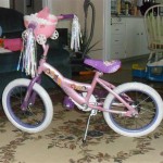 Was there ever a more pink, purple, sparkly, princessy bike made?