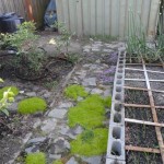 A finished rock path. Not a neat and tidy area, but it's lush and organic and attractive and I love it! (There's some sort of groundcover moss and thyme planted in there.)