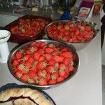 Yummy, yummy, strawberries! (Ate a bunch fresh, made a pie, made freezer jam, dried the rest)
