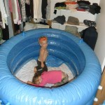 We inflated the birth tub most of the way to make sure it fits in the walk-in closet. Works perfectly!