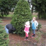 They are serious about not letting the tree tip over. (Maggie had an entire two needles in her little mittened hand!)