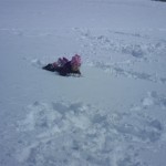 Anna happily rolled around in the snow, taking little bites. 